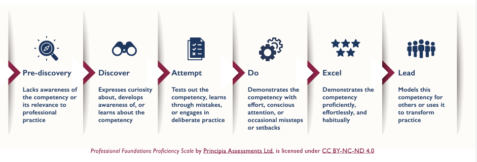 Professional Foundations Proficiency Scale