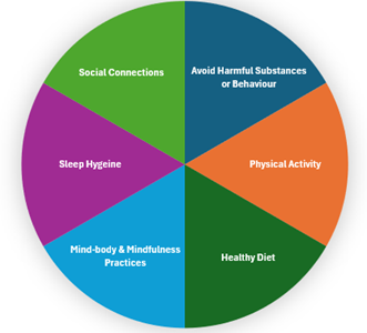 Pie chart showing that each item in the bulleted list is of equal importance